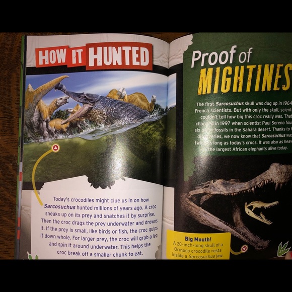 Prehistoric Predators - Picture 5 of 6